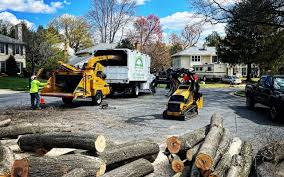 Trusted Brookside, NJ Tree Services Experts